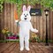 Adult Deluxe Bunny Costume with White Jumpsuit Fluffy Tail and Mascot Head